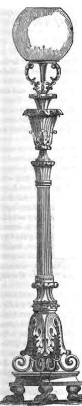 Cone Of Abies Nobilis 110033