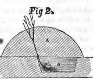 Hints On Grape Culture 160061