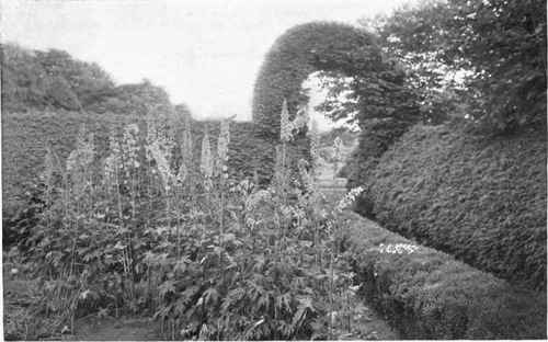 Fig. 122. The Hemlock forms an ideal hedge for the garden enclosure. The dark green color makes a pleasing background for the flowers. See page 146.