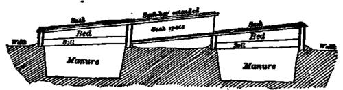 Parallel runs of hotbeds with racks for holding sashes.