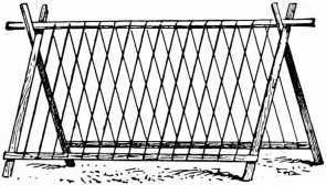 Fig. 47. A Substitute For Runner Bean Poles.