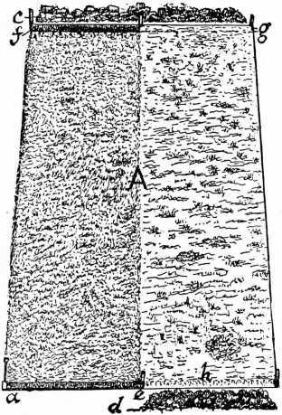 Fig. 4. Two Ways Of Digging Garden Soil.