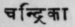 A Glossary Of Indian Plants Mentioned In Sanskrit  937