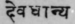 A Glossary Of Indian Plants Mentioned In Sanskrit  959