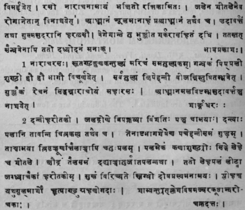 Baliospermum Montanum Mull Sans 634