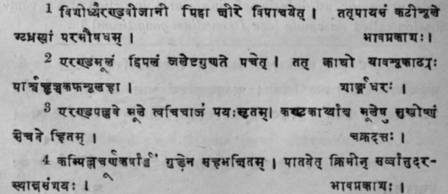 Mallotus Philippensis Mull Syn Rottlera Tinctoria 640