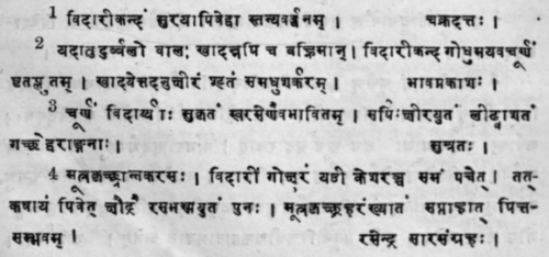Pharbitis Nil Choisy 561