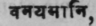 Vanayamdni