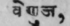 Venuja