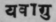 Yavagu