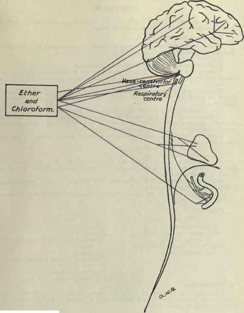 Ether And Chloroform 70