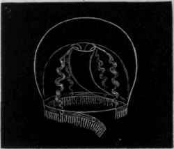 Fig. 31.   Diagram of a medusa (tiaropsis), about one third natural size, with a strip of contractile of two kinds   they may occur separately or together.