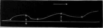 Fig. 35. Shows the action on muscle of caustic potash, 1 in 2,500, twice renewed for 13 minutes, succeeded by the action of lactic acid, 1 in 500, for 18 minutes, and this by the action of caustic potash for 17.