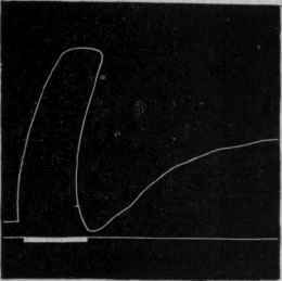 Fig. 45.   Secondary contraction in the muscle of a crayfish. The thick part of the lower line shows the time during which the muscle was irritated by a tetanising current.