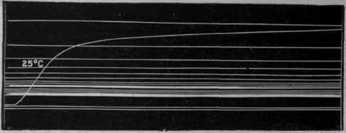 Fig. 48. Tracing of the contraction curve of a muscle poisoned by veratrine, showing enormous prolongation of the contraction, the recording cylinder making many complete revolutions before the muscle is completely relaxed.