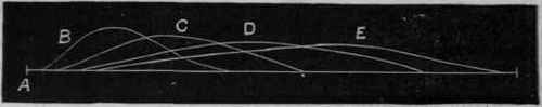Fig. 59. Diagram to show the difference between the length of the latent period and form of the curve in contraction induced, B, by direct irritation of the motor nerve; c, by simple reflex from irritation of the cord on the same side; and D, by cross reflex from irritation of the cord on the opposite side to that from which the motor nerve proceeds, as shown in Fig.