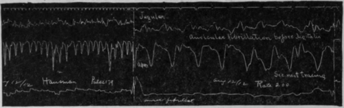 Fig. 18.