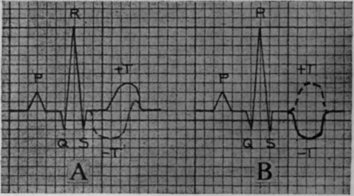Fig. 22.