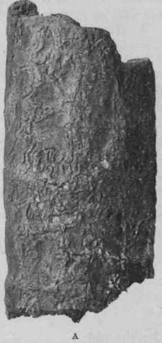 Description 197