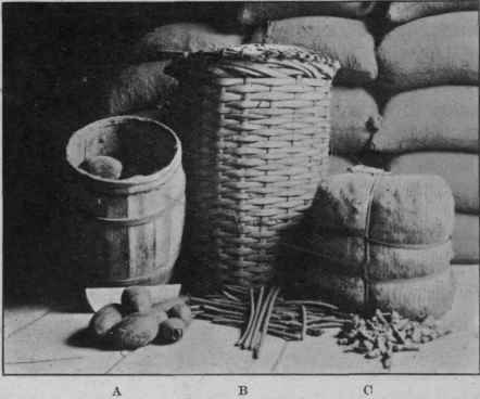 Fig. 1. Original packages of drugs (Weigel). a, gourd aloes; b, cassia fistula; c, China root.