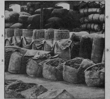 Fig. 11.   Show of drugs at London docks; a, cinnamon bark; b, cinchona bark; c, Zanzibar cloves; d, various bales of drugs. (Heap.)