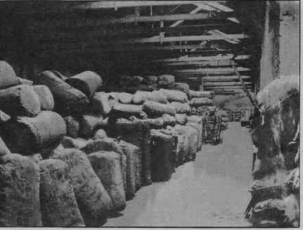 Fig. 12.   Bales of drugs in London Docks. (Heap.)