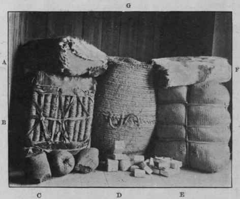 Fig. 2. Original packages of drugs (Weigel). a and f, seron of Calisaya bark; b, Honduras sarsaparilla; c, dragon's blood; d, compressed lobelia; e, galangal root; G, euphorbium.