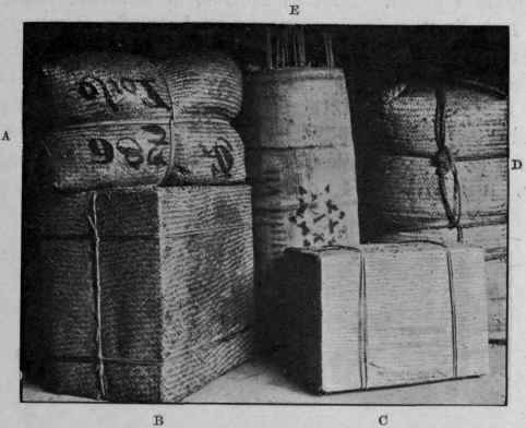 Fig. 3. Original packages of drugs (Weigel). a, small cassia bark; b, cassia bark in bundles; c, cassia buds; D, Zanzibar cloves; e, cinnamon bark.