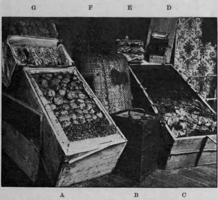 Fig. 4. Original packages of drugs (Weigel). a, Turkey opium; b, balsam of Peru; c, stick liquorice; d, musk; E, isinglass; f, lycopodium; G, vanilla.