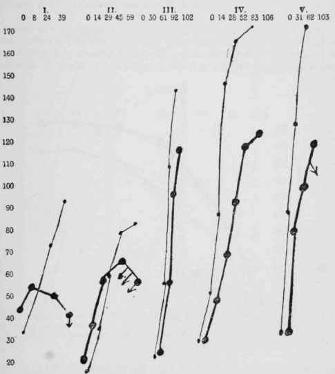 The influence of an ox flesh diet on very young rats newly weaned.