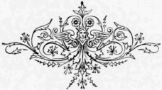 VIII The Opium Question 10028
