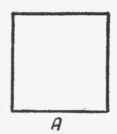 Proportion 48