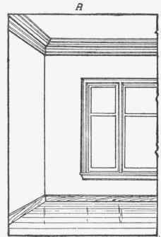 Proportion 55