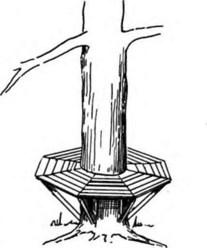 Tree Seat