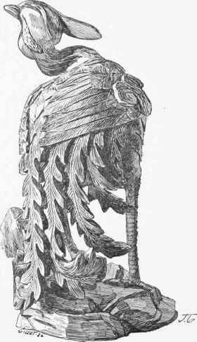 Fong hoaug curved out of a bamboo root ; antique Chinese work.