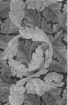 2. Morris, the Acanthus Scroll.
