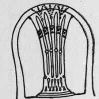 Chairs 272