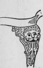 Lion.