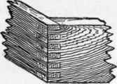 Hammer