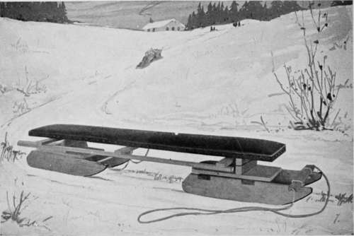 A Bob Sled 338