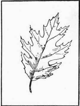 Figure 44.