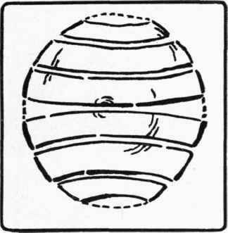 Fig. 1 Boards usually warp in the direction opposite to hat of the usual ring's in them.