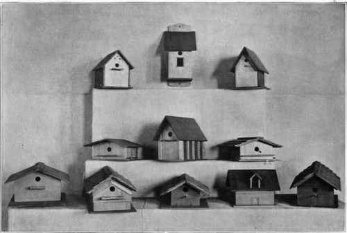 Fig. 195. Wren houses: entrance for birds must be ¾ in diameter, so that nothing larger than a wren can enter.