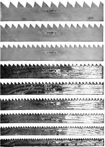 Teeth and points per inch of cross cut saws (full size).