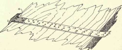 Fig. 17. Lumber Scale.