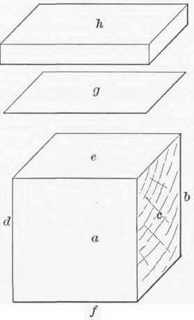 Exercise 39 Veneering 290