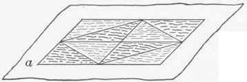 Exercise 39 Veneering 292
