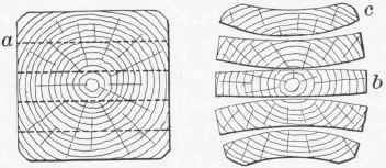 Fig. 15.   Warping of planks cut from an unseasoned log.