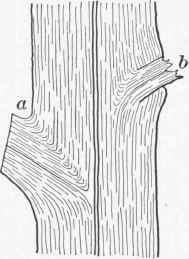 Fig. 16. Knots, a, fast; 6, loose.
