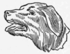 Kinds of Wood Carving 56